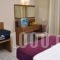 Hotel Plessas Palace_best prices_in_Hotel_Ionian Islands_Zakinthos_Alikanas