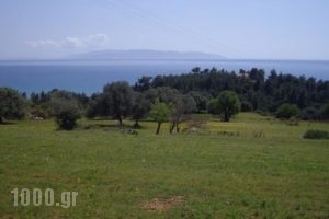 Apsedes Studios_best deals_Hotel_Ionian Islands_Kefalonia_Kefalonia'st Areas