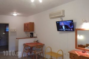 Elite Apartments_best prices_in_Apartment_Dodekanessos Islands_Kalimnos_Kalimnos Rest Areas