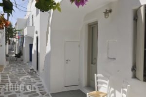 Blue Jasmin_travel_packages_in_Cyclades Islands_Paros_Naousa