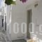 Blue Jasmin_travel_packages_in_Cyclades Islands_Paros_Naousa
