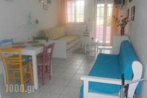 Livadi Apartments_best deals_Apartment_Crete_Rethymnon_Plakias
