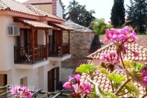 Iraya Studios_holidays_in_Hotel_Thessaly_Magnesia_Milies