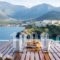 Villa Vasilis_holidays_in_Villa_Crete_Rethymnon_Mylopotamos