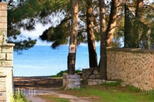Villa Leucadia_best prices_in_Villa_Ionian Islands_Lefkada_Lefkada's t Areas