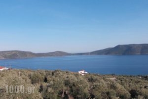 Mourtero House_holidays_in_Hotel_Sporades Islands_Skopelos_Stafylos
