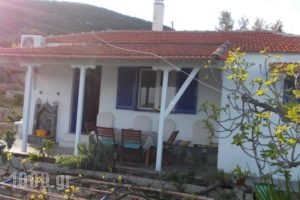 Mourtero House_travel_packages_in_Sporades Islands_Skopelos_Stafylos