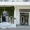 Paradise Art Hotel_holidays_in_Hotel_Cyclades Islands_Andros_Andros City