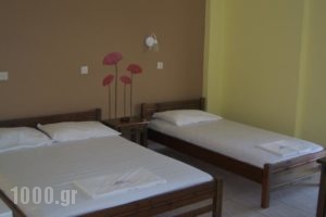 Vamvini Hotel_best prices_in_Hotel_Macedonia_Halkidiki_Sarti