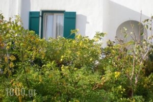 Astypalea Villas_holidays_in_Villa_Dodekanessos Islands_Astipalea_Astipalea Chora