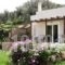 Naiades Villas_accommodation_in_Villa_Central Greece_Evia_Karystos