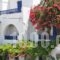 Nostos Studios_holidays_in_Hotel_Cyclades Islands_Amorgos_Amorgos Chora