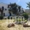 Pension Askas_best deals_Hotel_Cyclades Islands_Amorgos_Amorgos Chora