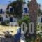 Pension Askas_best prices_in_Hotel_Cyclades Islands_Amorgos_Amorgos Chora