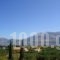 Villa Reverenza_best prices_in_Villa_Ionian Islands_Kefalonia_Kefalonia'st Areas