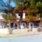 Marina Hotel_holidays_in_Hotel_Macedonia_Halkidiki_Nikiti