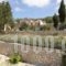 Studios Kirki_travel_packages_in_Ionian Islands_Corfu_Corfu Rest Areas