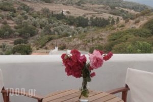 9 Muses_holidays_in_Hotel_Cyclades Islands_Andros_Andros City