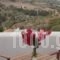 9 Muses_holidays_in_Hotel_Cyclades Islands_Andros_Andros City