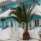 Elena'S Beach Garden_travel_packages_in_Crete_Lasithi_Koutsounari