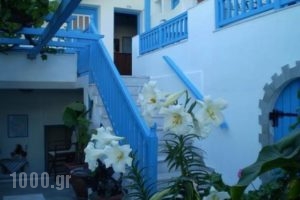 Hotel Anixis_best prices_in_Hotel_Cyclades Islands_Naxos_Naxos Chora