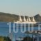 Anatoli Villas_holidays_in_Villa_Aegean Islands_Samos_Samos Chora