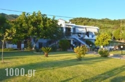 Raptis Apartments in Zakinthos Rest Areas, Zakinthos, Ionian Islands