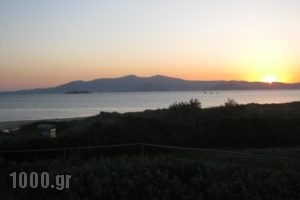 Aronis_best deals_Hotel_Cyclades Islands_Naxos_Naxos chora
