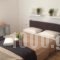 Olympian-Apartments_holidays_in_Apartment_Cyclades Islands_Paros_Paros Chora