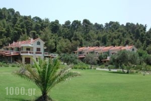 Amaryllis Summer Maisonettes_best prices_in_Hotel_Macedonia_Halkidiki_Kassandreia