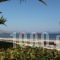 Ballos Apartments_best deals_Apartment_Piraeus Islands - Trizonia_Aigina_Marathonas