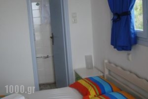 Hotel Katerina_holidays_in_Hotel_Cyclades Islands_Paros_Piso Livadi