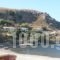 Enalion Apartments_accommodation_in_Apartment_Aegean Islands_Lesvos_Lesvos Rest Areas