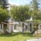 Gina Studios_holidays_in_Hotel_Ionian Islands_Corfu_Corfu Rest Areas