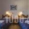 Agnadi Studios_best deals_Hotel_Dodekanessos Islands_Astipalea_Analipsi