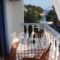 Mahi Studios_holidays_in_Hotel_Sporades Islands_Alonnisos_Patitiri