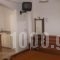 Hotel Adonis_best deals_Hotel_Aegean Islands_Lesvos_Mythimna (Molyvos)