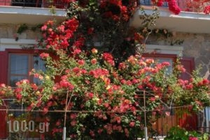 Apartment Dionysos_lowest prices_in_Apartment_Aegean Islands_Lesvos_Mythimna (Molyvos