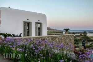 Villa Argy_accommodation_in_Villa_Cyclades Islands_Mykonos_Mykonos ora