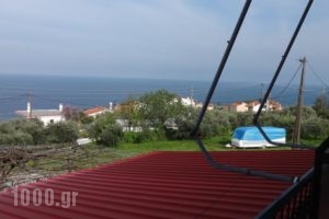 Paradies_accommodation_in_Hotel_Thessaly_Larisa_Agia