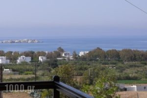 Villa Harmonia_holidays_in_Villa_Cyclades Islands_Naxos_Naxos Chora