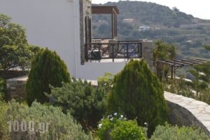 Syrou Lotos_lowest prices_in_Hotel_Cyclades Islands_Syros_Posidonia