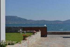Villa Aggemari_best prices_in_Villa_Aegean Islands_Lesvos_Lesvos Rest Areas