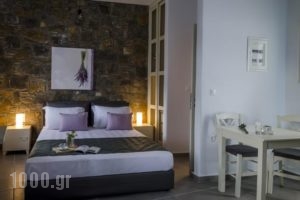 Aelia Studios_holidays_in_Hotel_Cyclades Islands_Amorgos_Aegiali