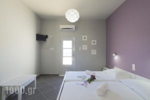 Nikolas Studios_lowest prices_in_Hotel_Dodekanessos Islands_Kalimnos_Kalimnos Rest Areas