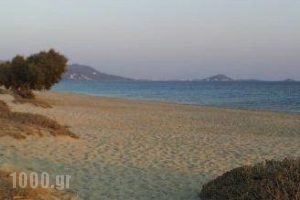 Acti Plaka Hotel_lowest prices_in_Hotel_Cyclades Islands_Naxos_Naxos Chora