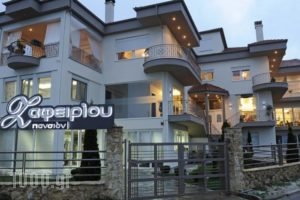 Pansion Zafeiriou_lowest prices_in_Hotel_Macedonia_kastoria_Aposkepos