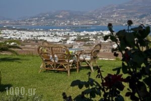 Antiparos View_best prices_in_Hotel_Cyclades Islands_Antiparos_Antiparos Chora