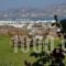 Antiparos View_best prices_in_Hotel_Cyclades Islands_Antiparos_Antiparos Chora