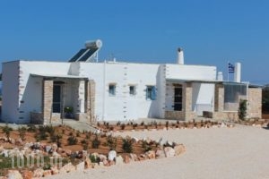 Nakos Homes_holidays_in_Hotel_Cyclades Islands_Antiparos_Antiparos Rest Areas